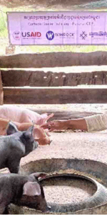 Breaking the Cycle of Migration: The Story of Mrs. Vath Tha